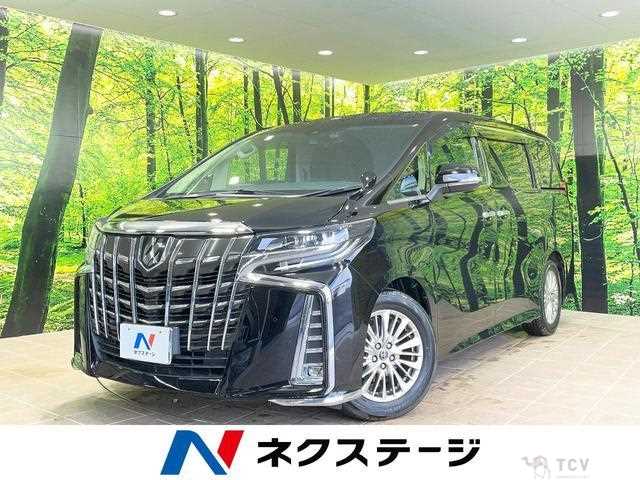 2019 Toyota Alphard G