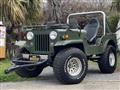 1986 Mitsubishi Jeep