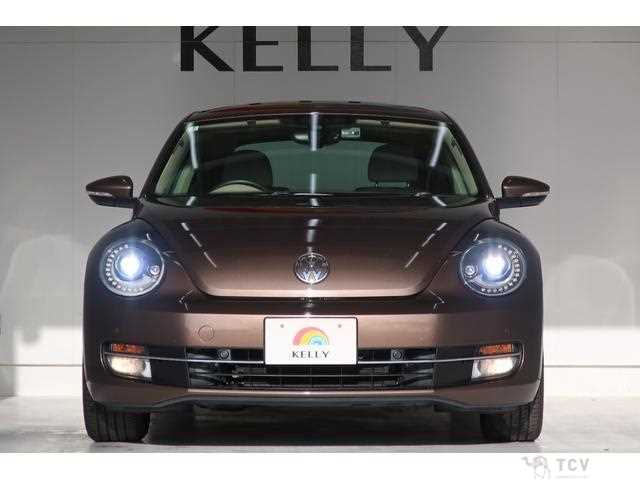 2014 Volkswagen Beetle