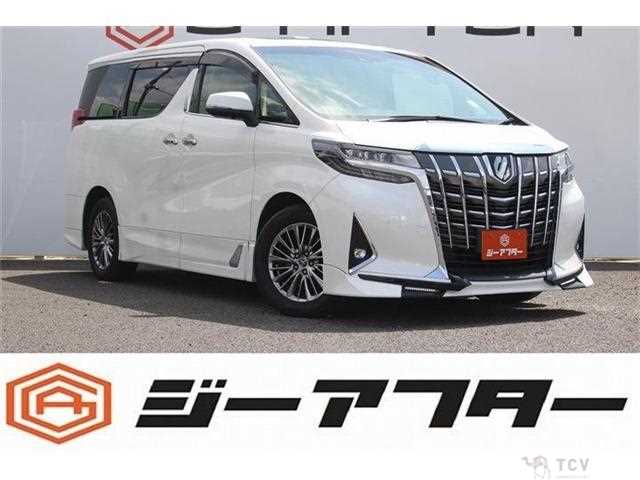 2019 Toyota Alphard G