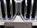 2021 BMW X6