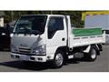 2021 Isuzu Elf Truck
