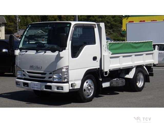 2021 Isuzu Elf Truck