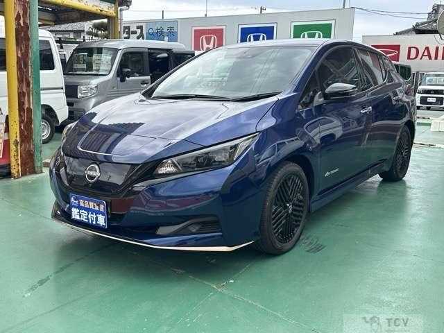 2024 Nissan Leaf