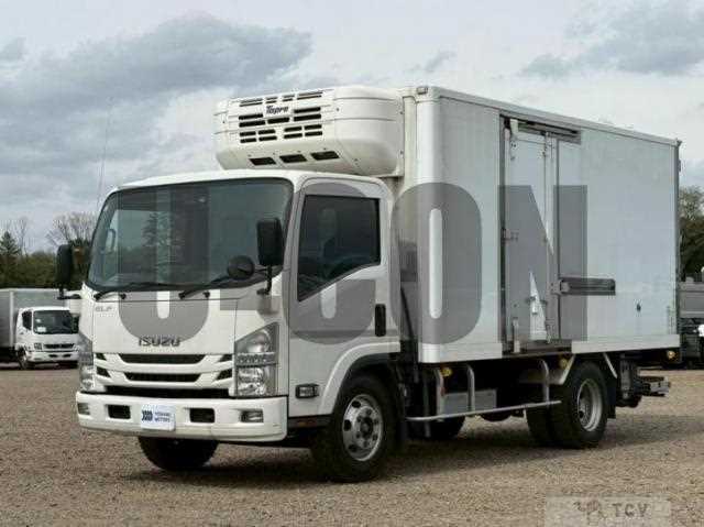 2019 Isuzu Elf Truck