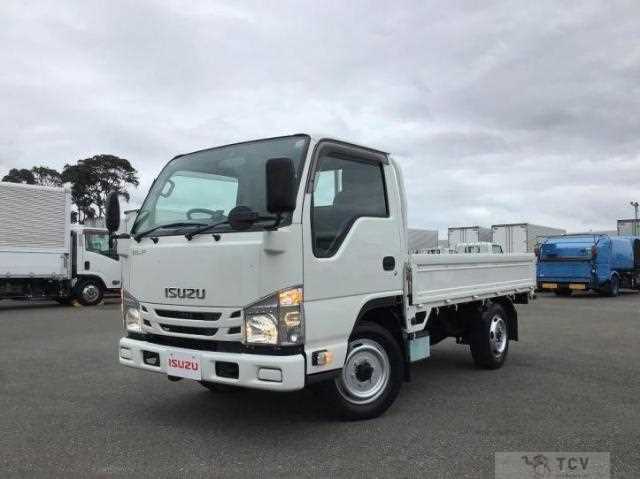 2019 Isuzu Elf Truck