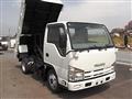 2011 Isuzu Elf Truck