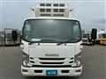 2019 Isuzu Elf Truck