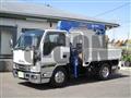 2020 Isuzu Elf Truck
