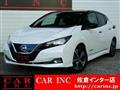 2019 Nissan Leaf