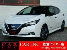 2019 Nissan Leaf