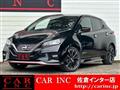 2019 Nissan Leaf
