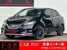 2019 Nissan Leaf