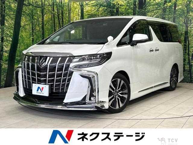 2019 Toyota Alphard G