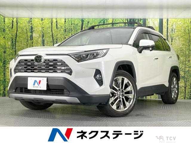 2020 Toyota RAV4