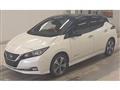 2019 Nissan Leaf