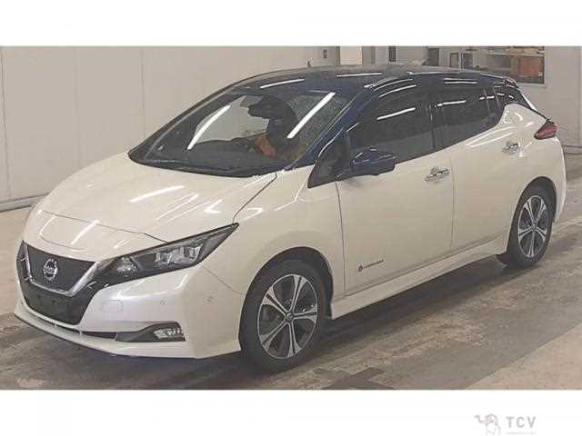 2019 Nissan Leaf
