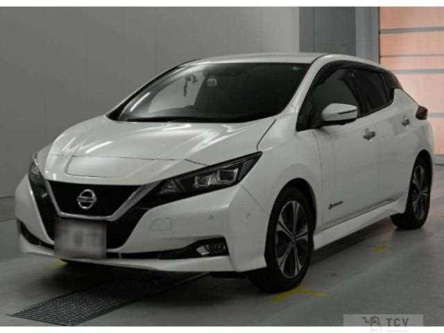 2019 Nissan Leaf