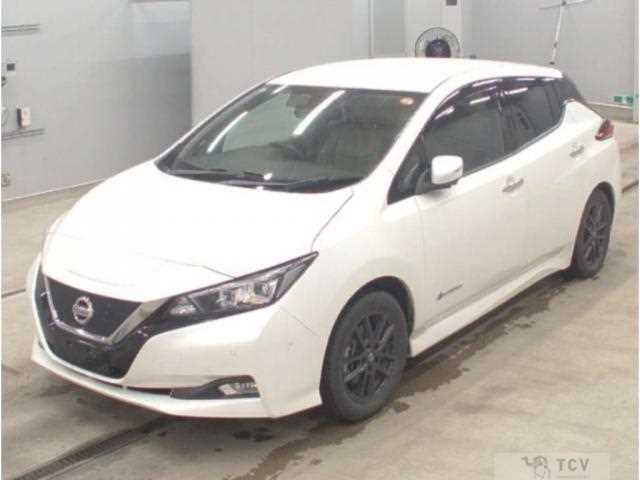 2019 Nissan Leaf
