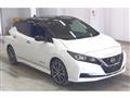 2021 Nissan Leaf