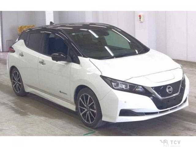 2021 Nissan Leaf