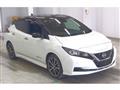 2021 Nissan Leaf