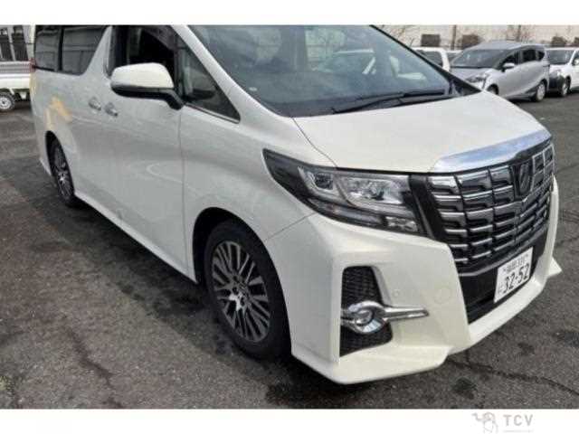 2017 Toyota Alphard G