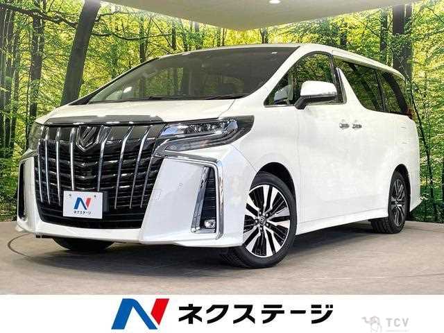 2019 Toyota Alphard G