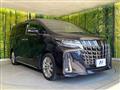 2020 Toyota Alphard G