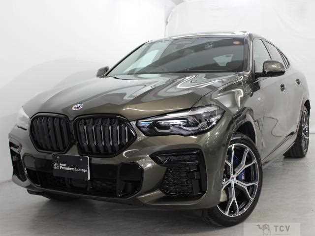 2023 BMW X6