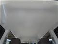2010 Nissan Clipper Rio