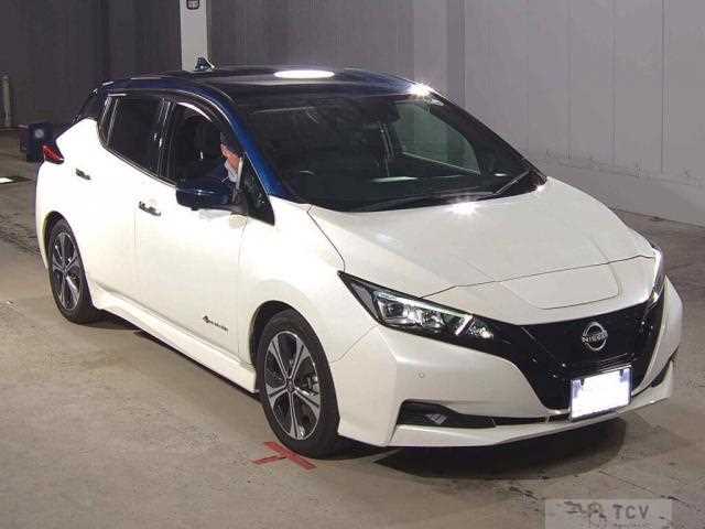 2021 Nissan Leaf