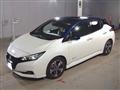 2021 Nissan Leaf