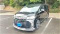 2022 Toyota Alphard G