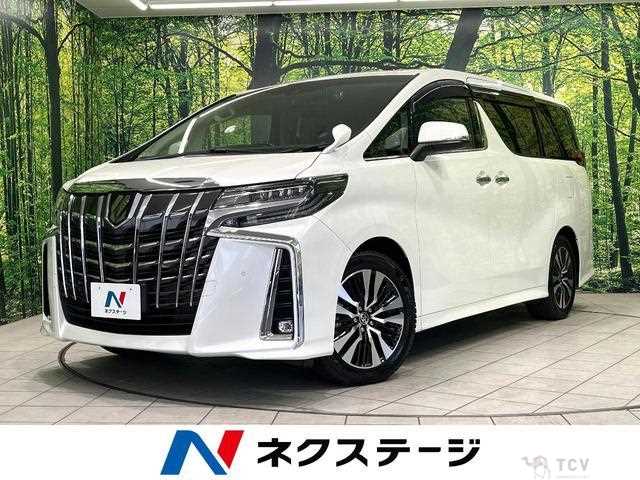 2020 Toyota Alphard G