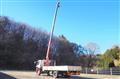 2013 Hino Ranger