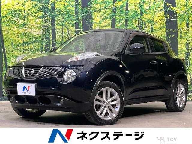 2012 Nissan Juke