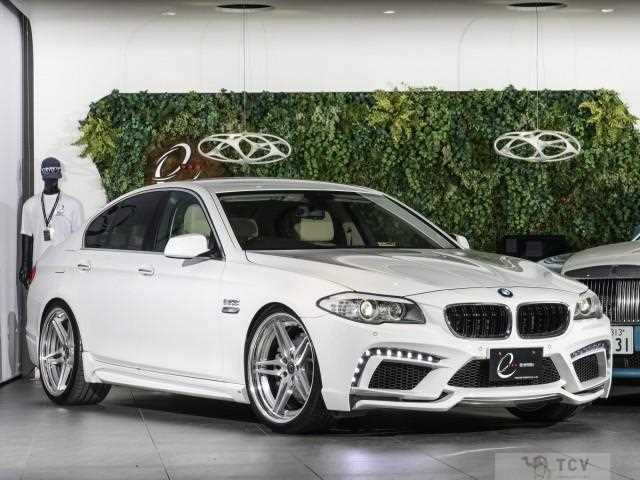 2010 BMW 5 Series