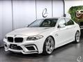 2010 BMW 5 Series