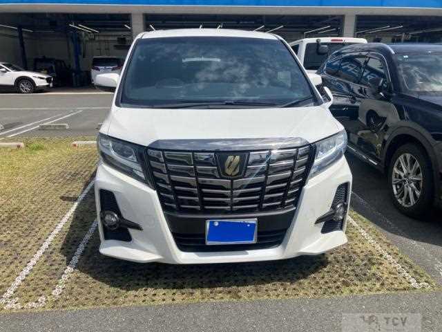 2017 Toyota Alphard G