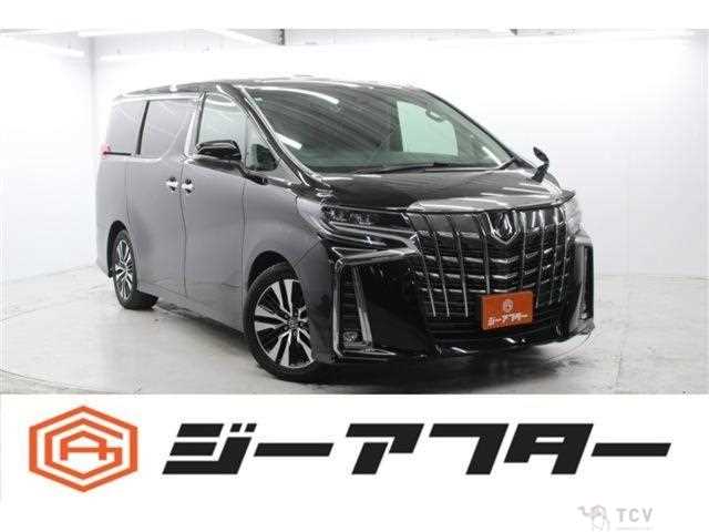 2019 Toyota Alphard G