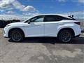 2020 Lexus RX