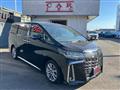 2020 Toyota Alphard G