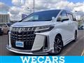 2021 Toyota Alphard G