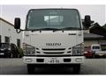 2019 Isuzu Elf Truck