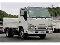 2019 Isuzu Elf Truck