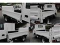 2019 Isuzu Elf Truck