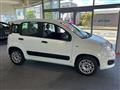 2022 Fiat Panda