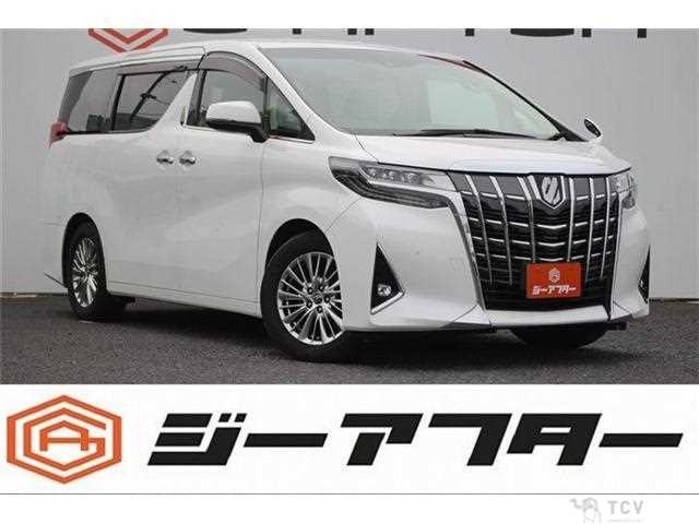 2019 Toyota Alphard G