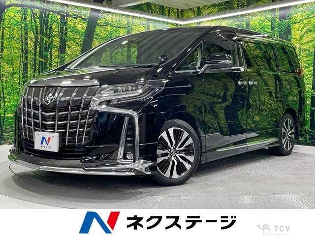 2019 Toyota Alphard G